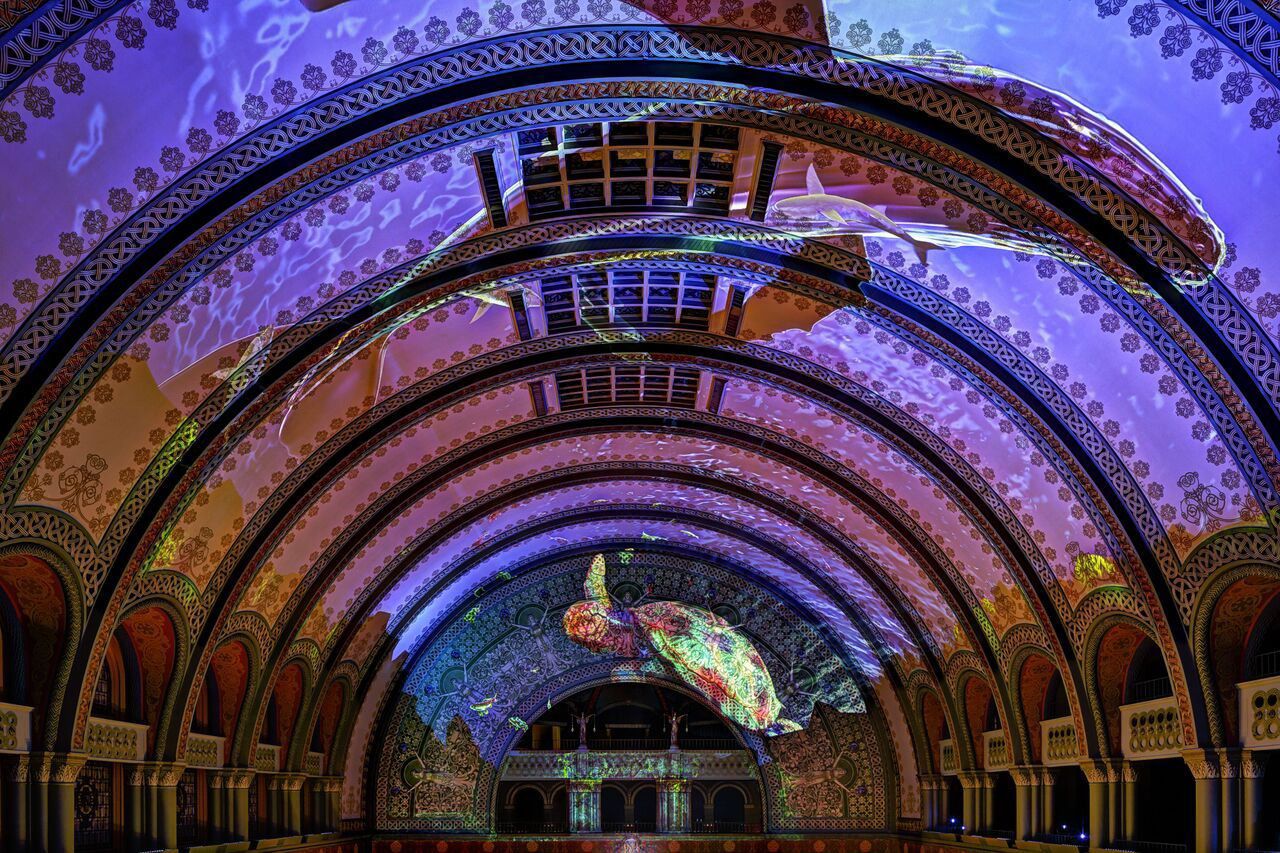 Renderings of the St. Louis Aquarium